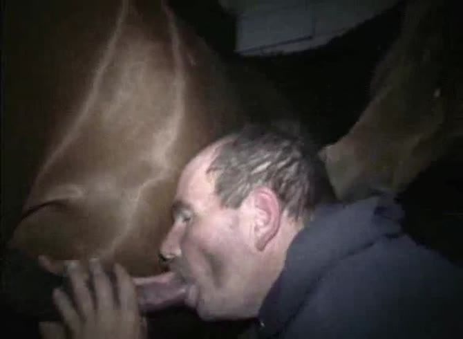 Video :Nasty gay deepthroating a big horse dick in the farm